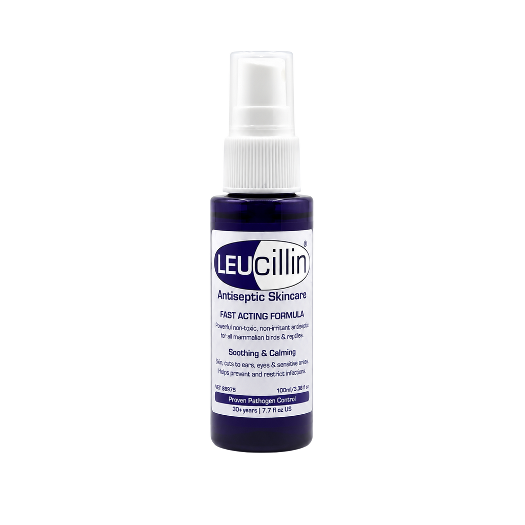 Leucillin Antiseptic Spray in a Holster