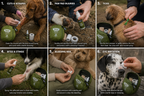 Dog First Aid kit + Refill